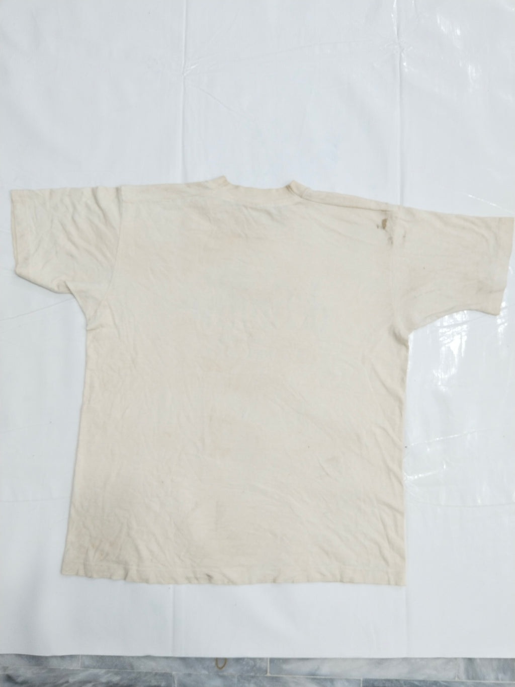 Fruite of the Loom Sweatshirt