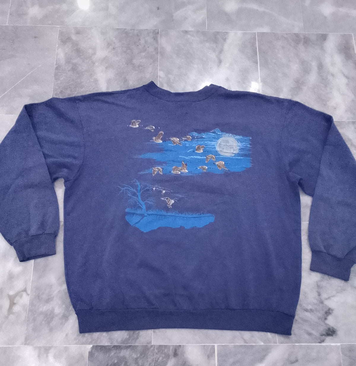 Vintage "Fly Wild" Flying Geese Graphic Crewneck Sweatshirt