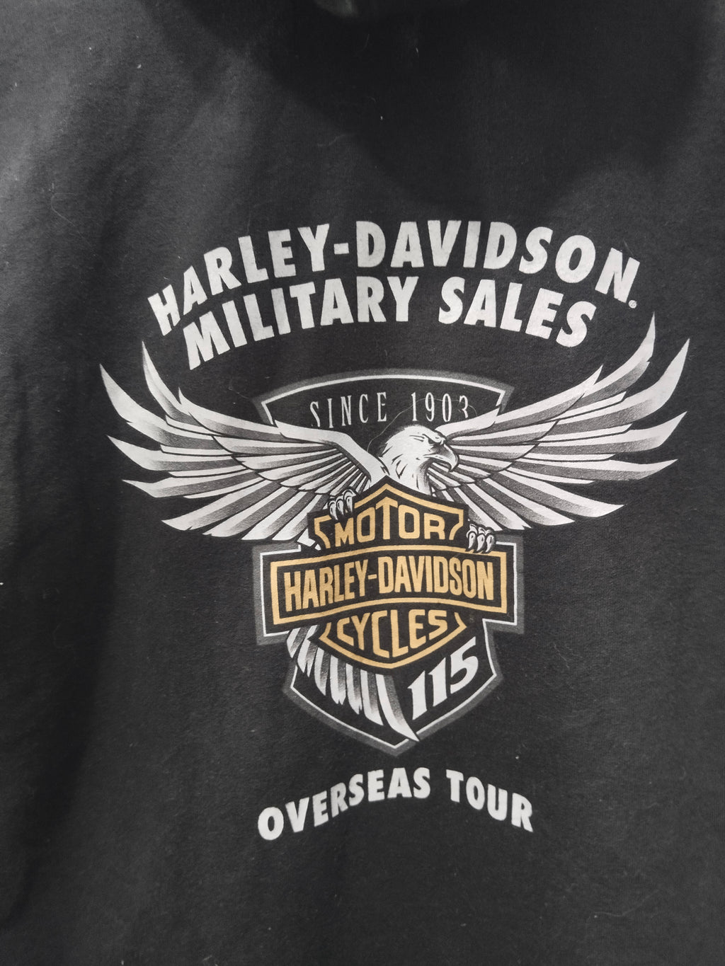 Harley Women,sY2k Hoodie