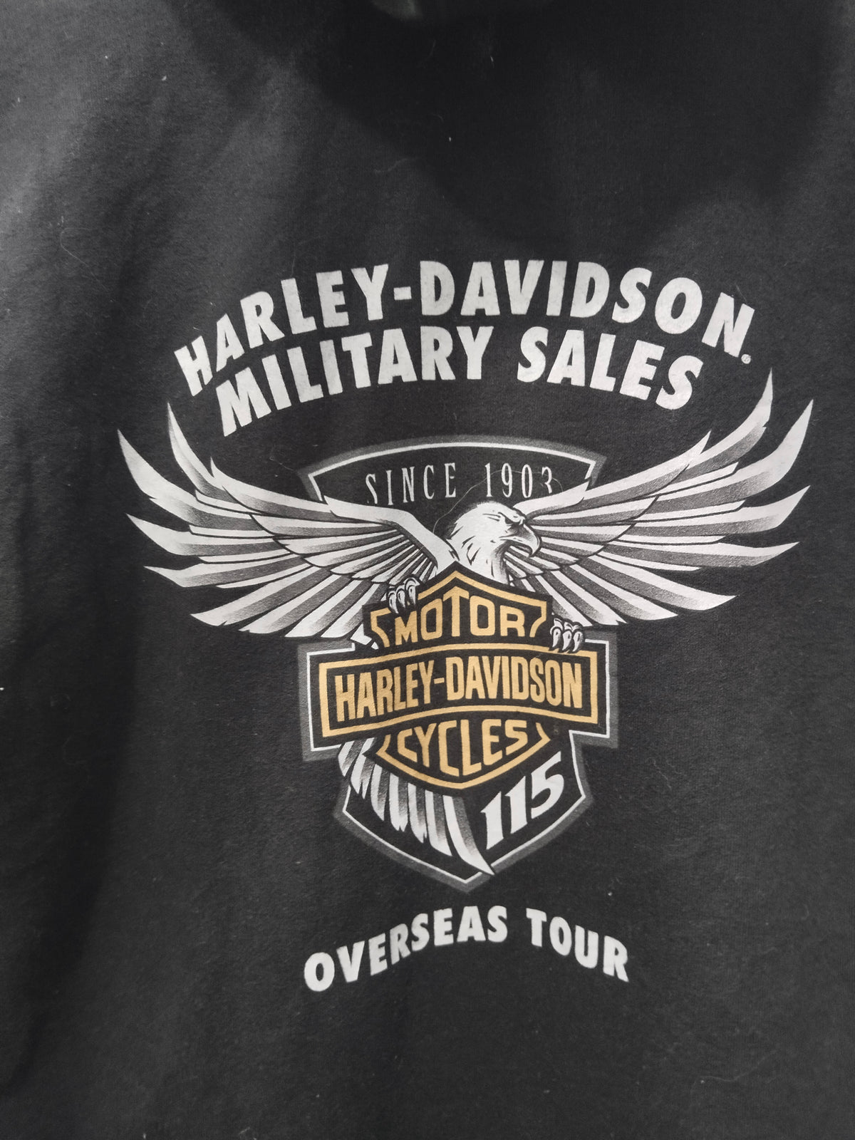 Harley Women,sY2k Hoodie