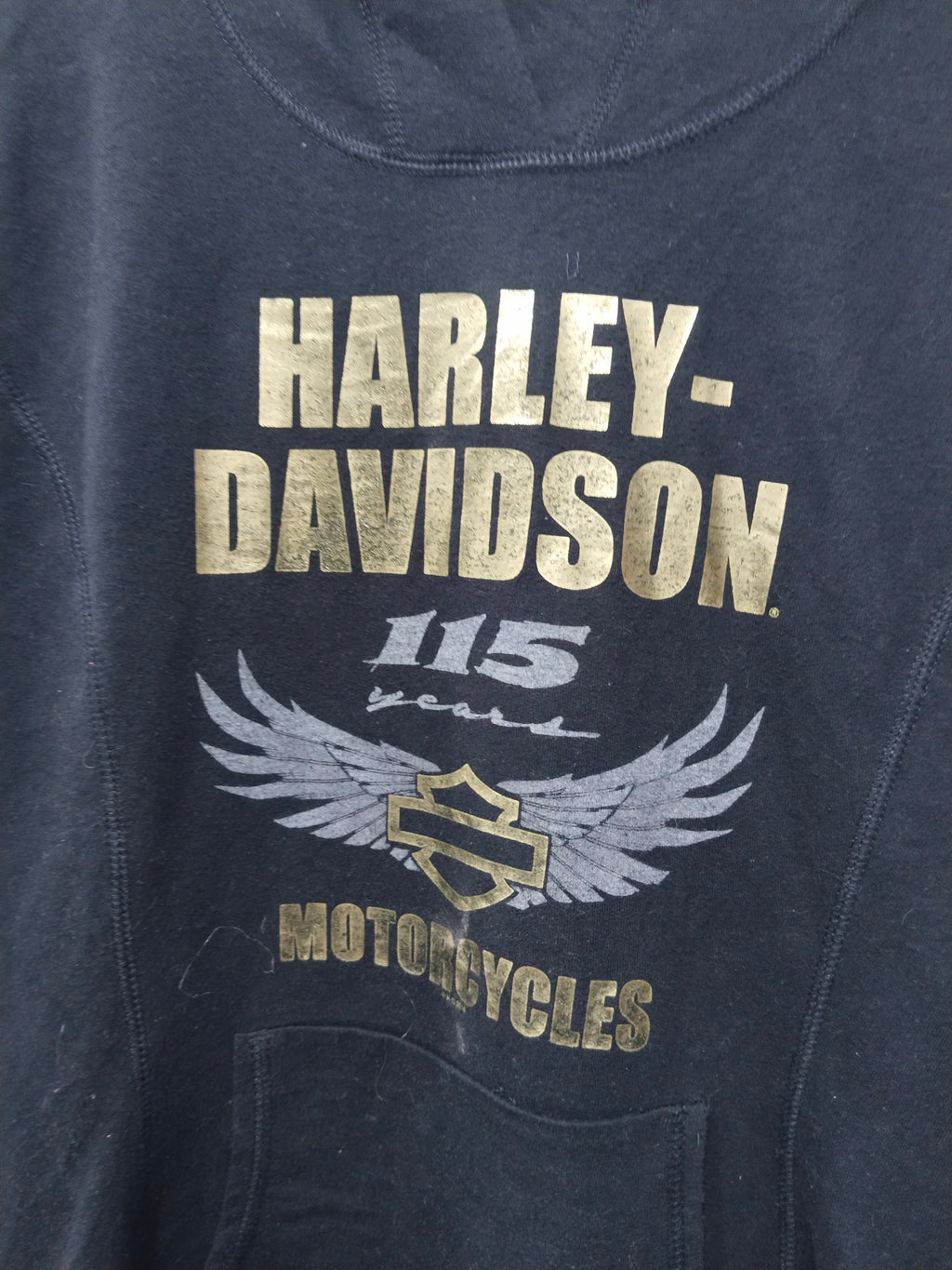 Harley Women,sY2k Hoodie