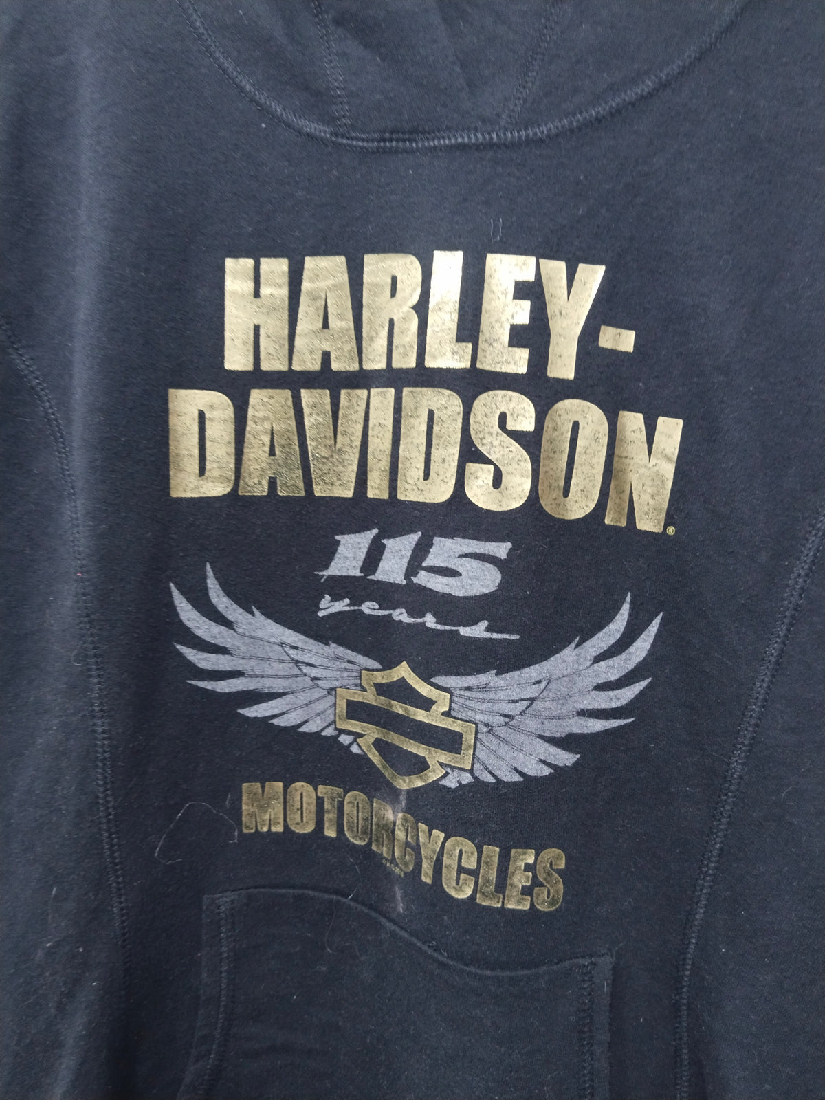 Harley Women,sY2k Hoodie